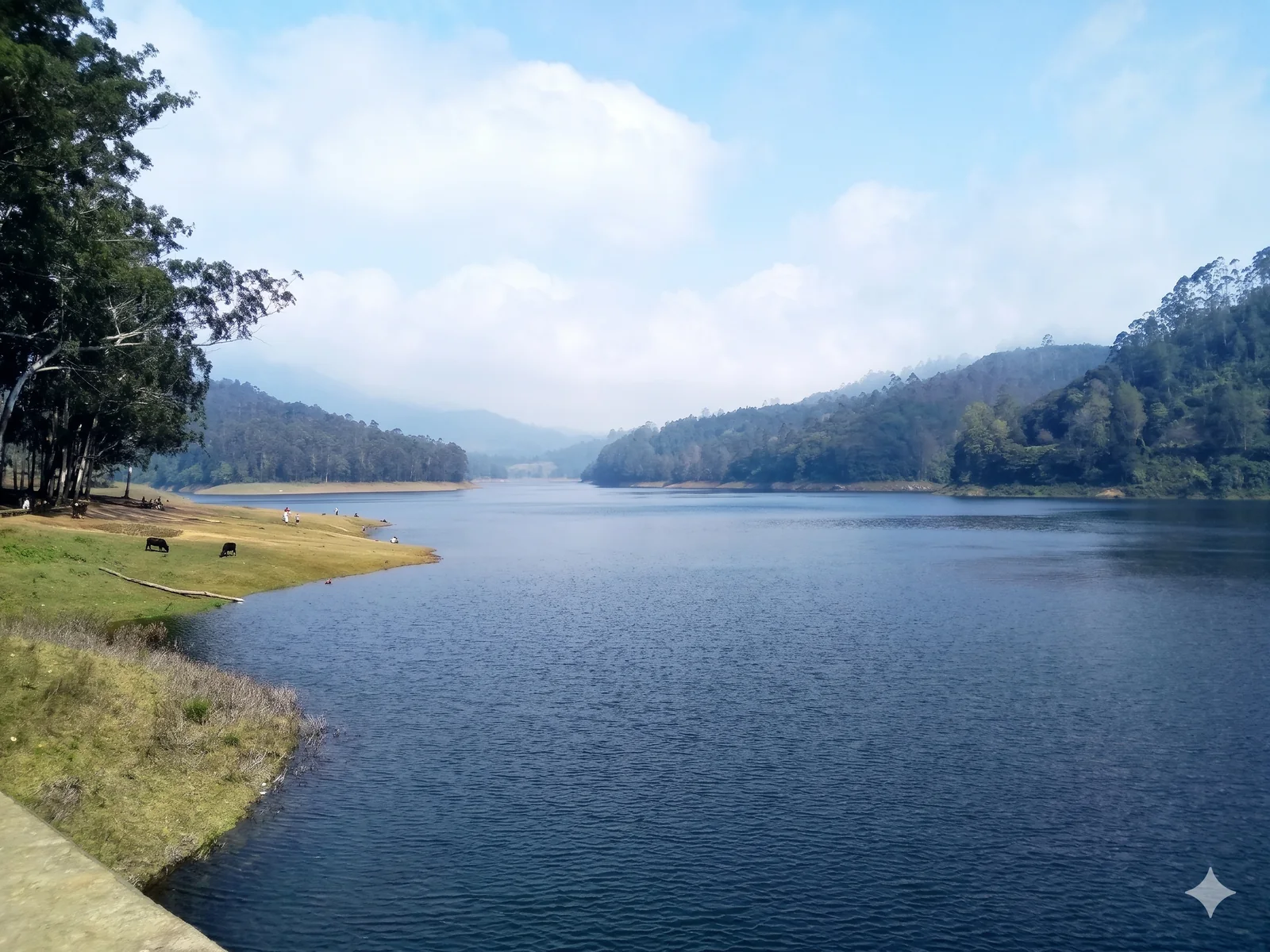 Berijam Lake surrounded by forest near Kodaikanal