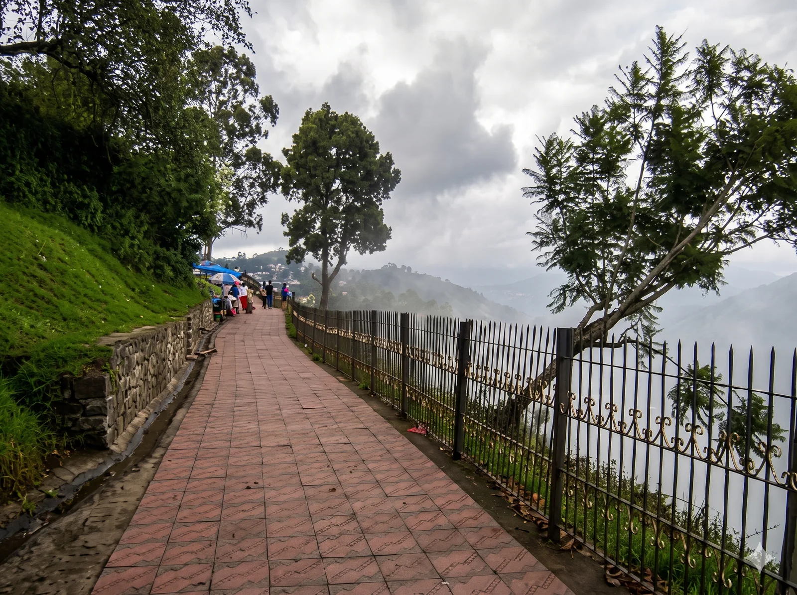 Coaker's Walk
