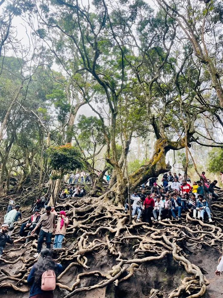 Guna Caves, Kodaikanal