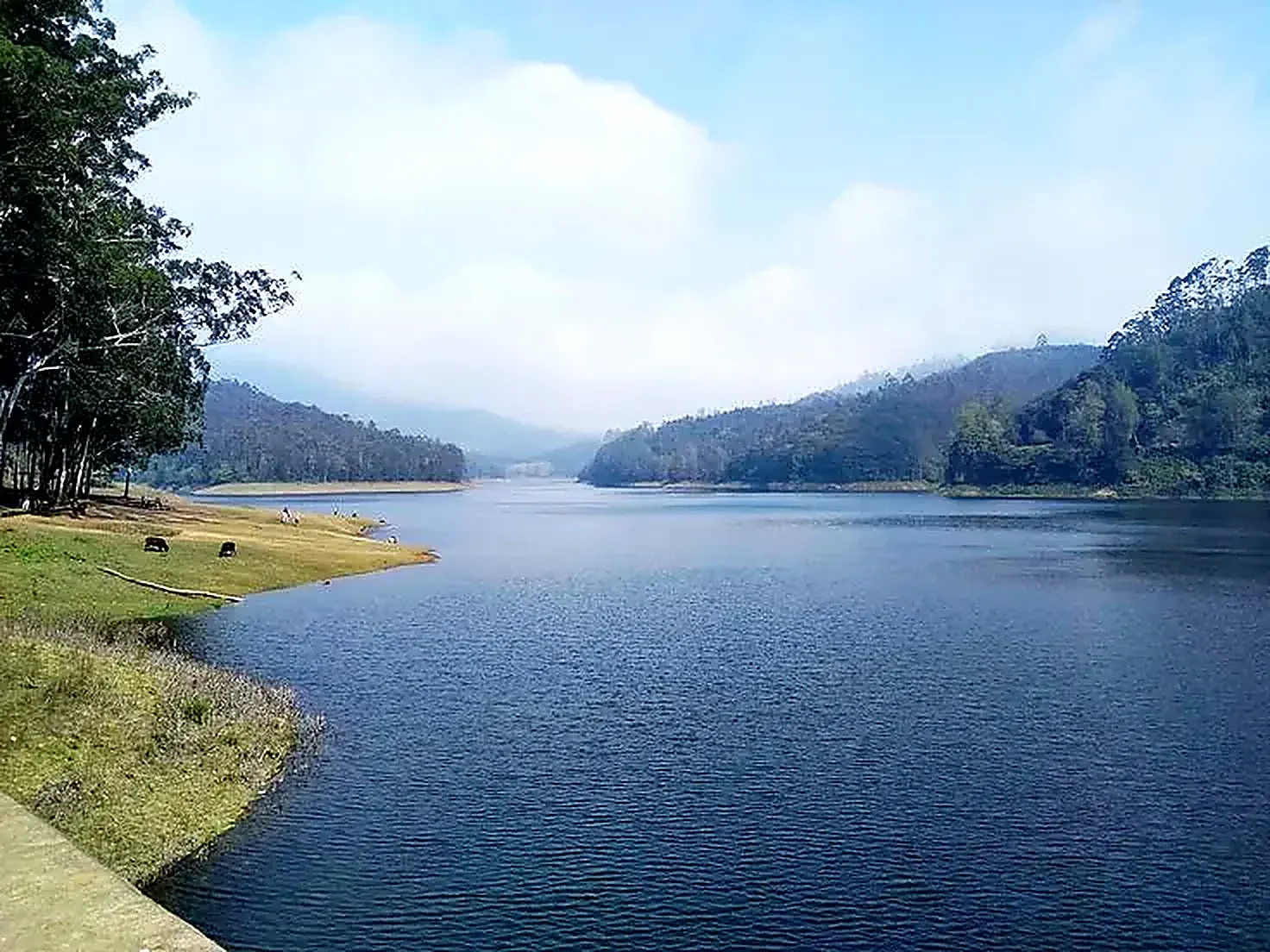 Quiet hill reservoir with grassy shore and forested slopes near Kodaikanal