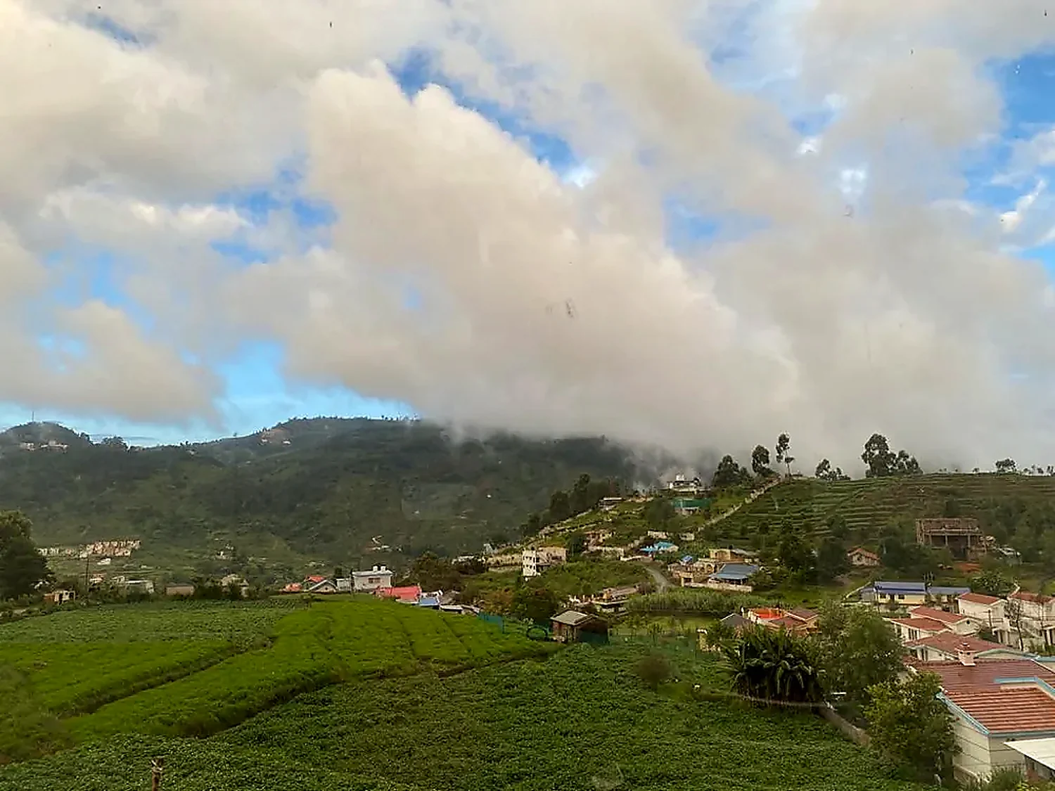 Green valley view near Kodaikanal