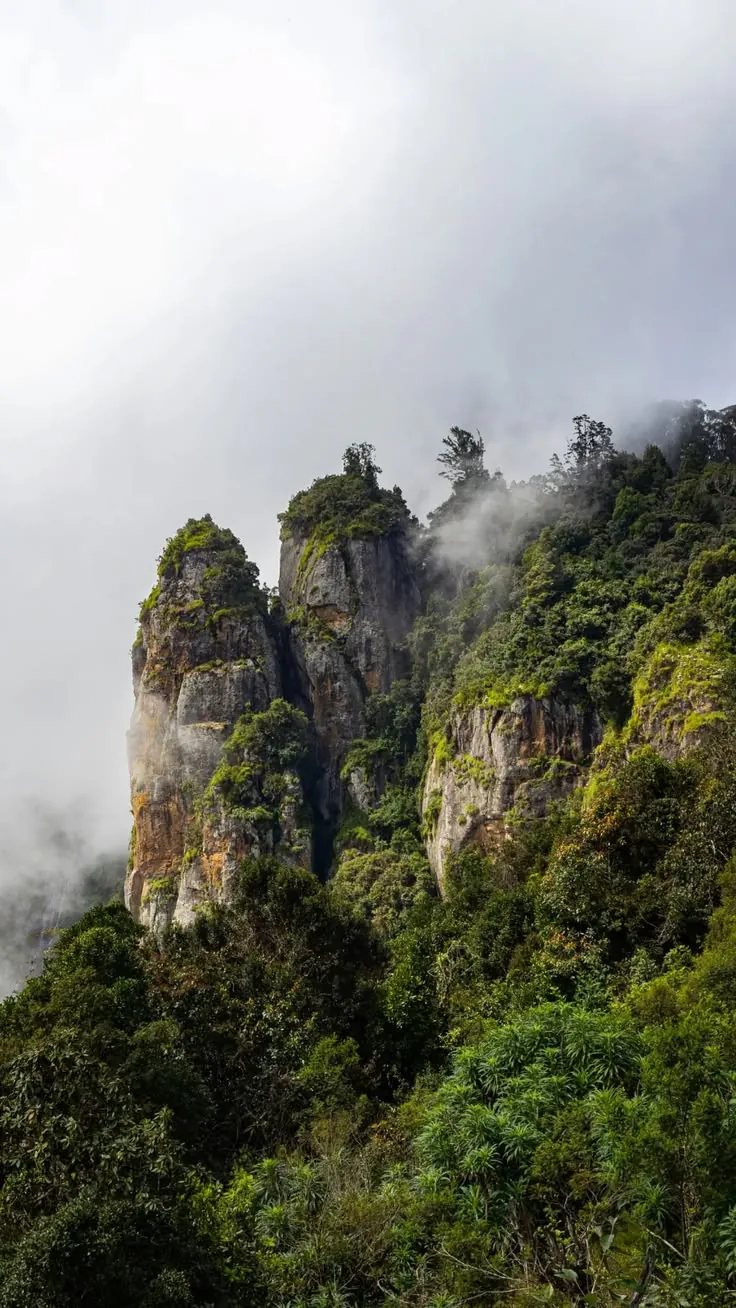 Dolphin's Nose viewpoint near Vattakanal