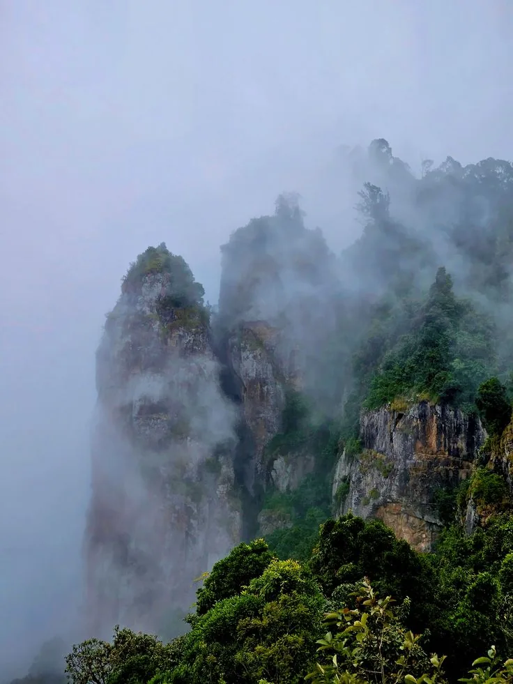 Misty pinnacle cliffs